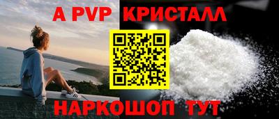 герыч Кингисепп