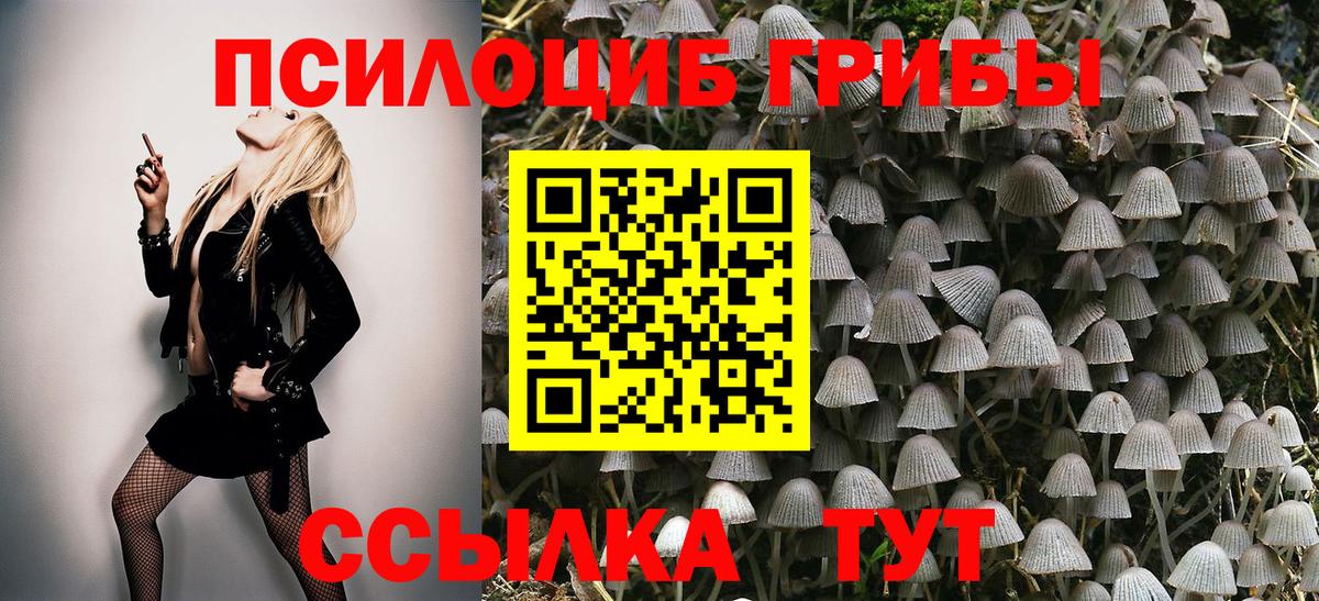 Псилоцибиновые грибы MAGIC MUSHROOMS Бирск